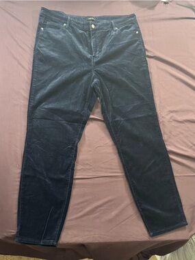 Women’s  Dark Blue Velvet Pants - 16